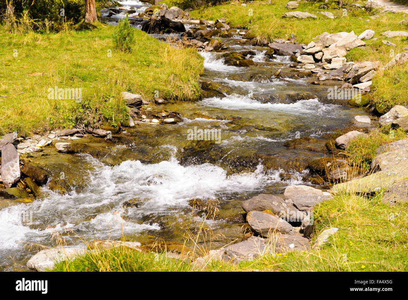 small business shirt ideas