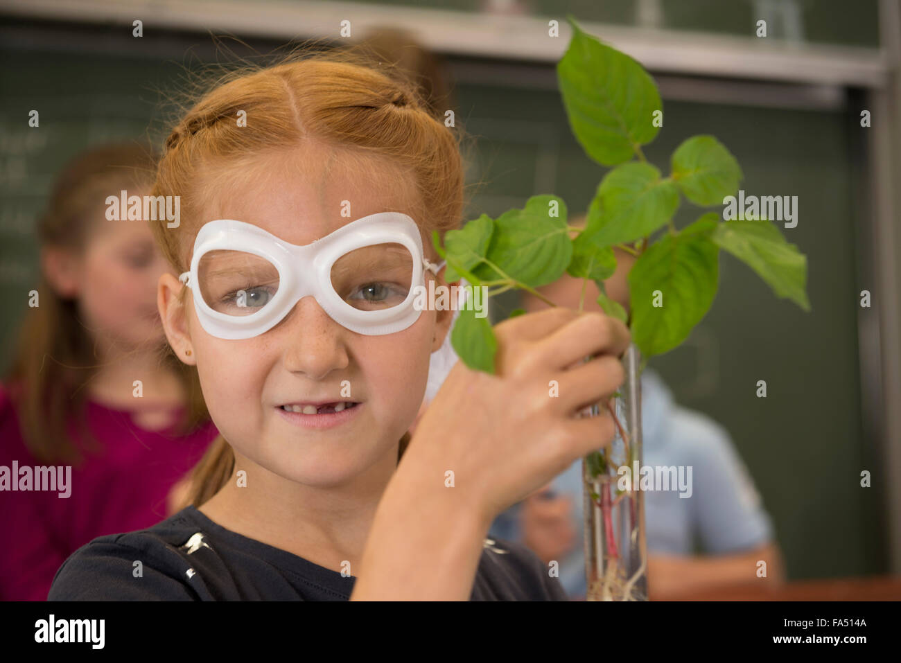 Experiment in biology hires stock photography and images Alamy