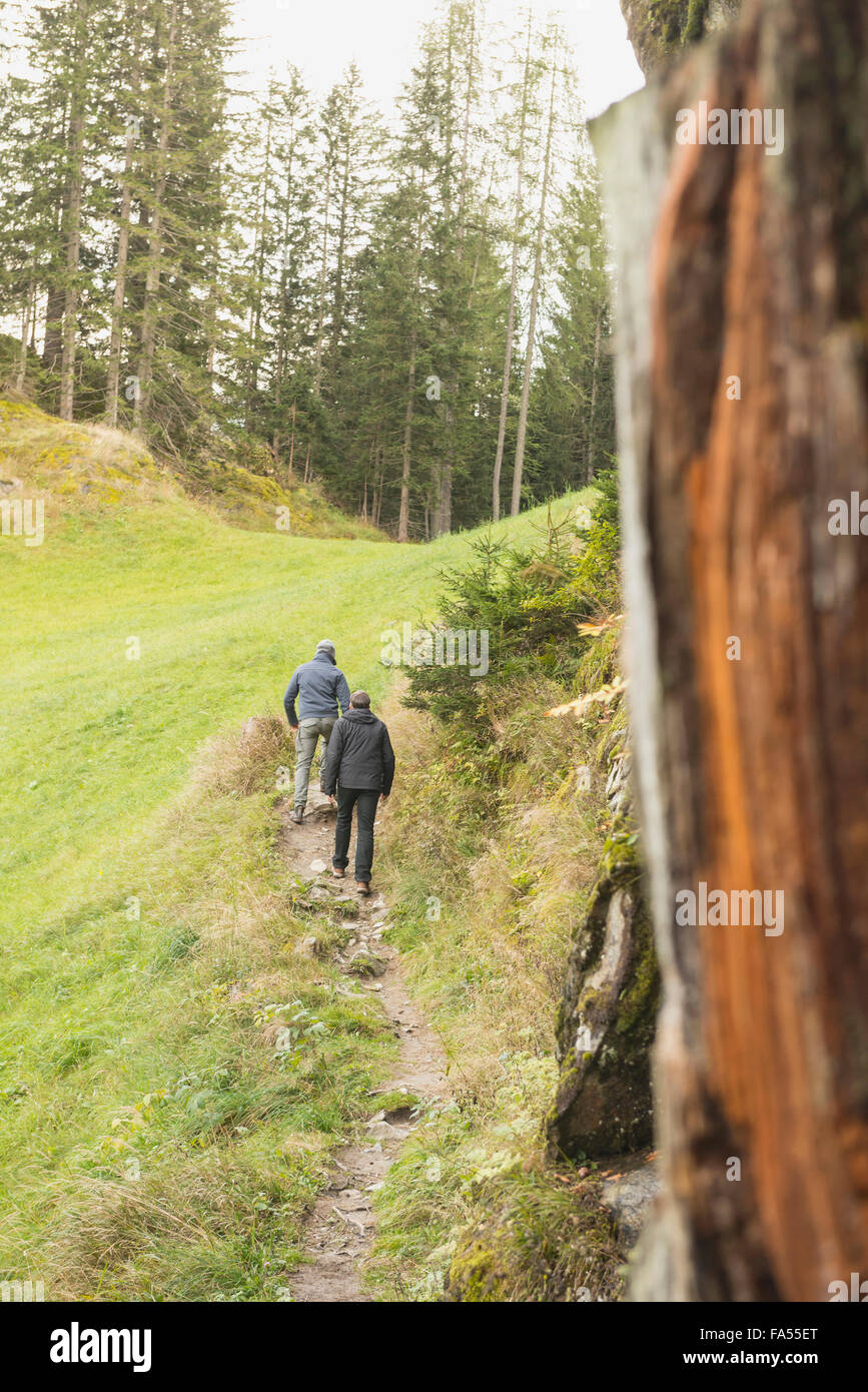 Two mature hikers walking in forest, Austrian Alps, Carinthia,  Austria Stock Photo