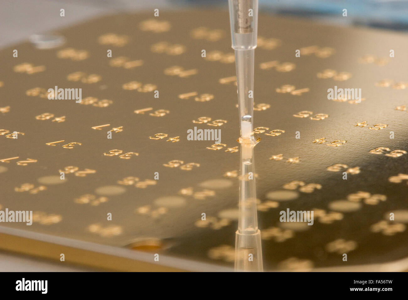 Robotic liquid handling robot depositing protein sample on MALDI-TOF target plate. Stock Photo