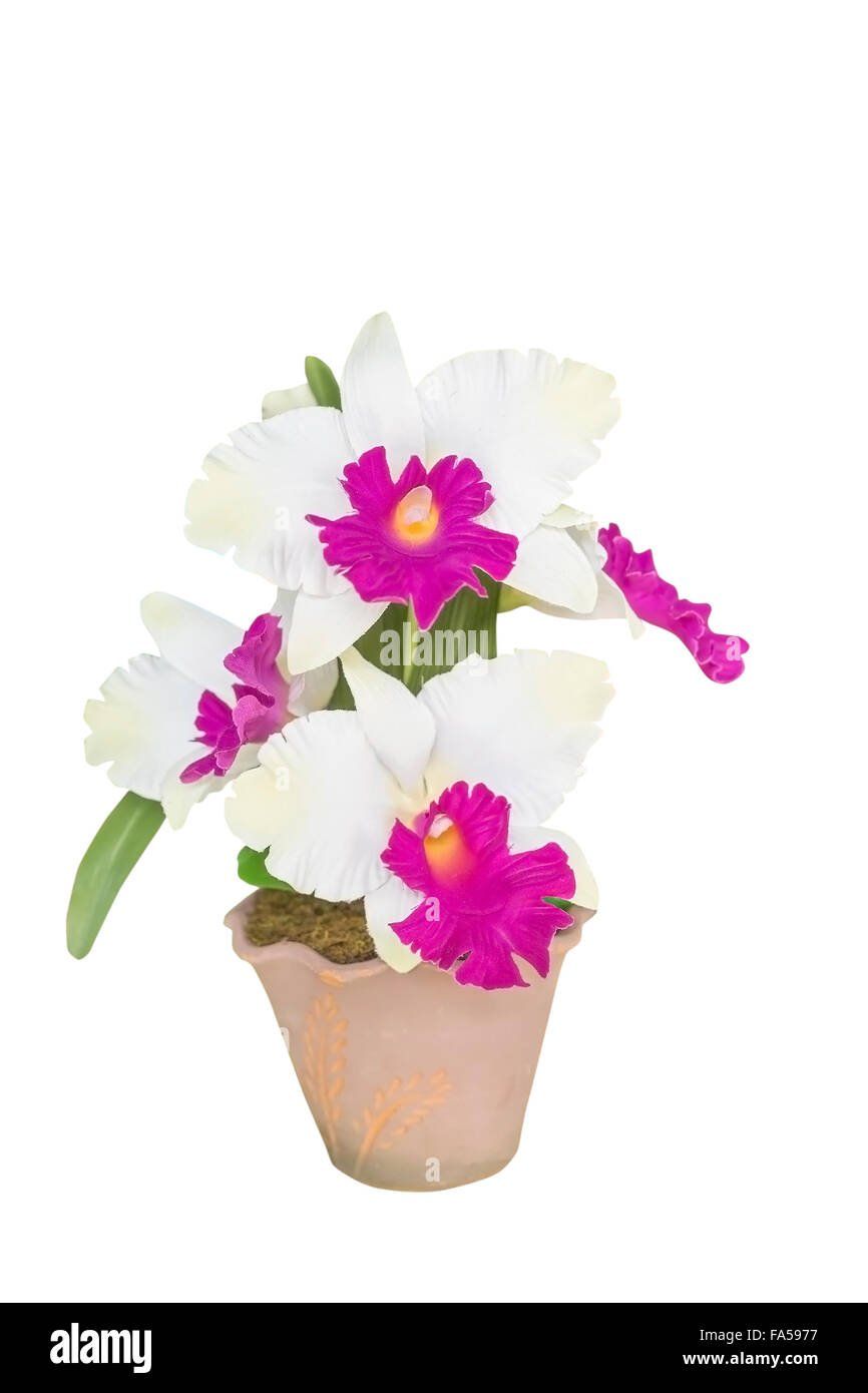 Artificial white cattleya orchid flowers in flower pot isolated on white background Stock Photo