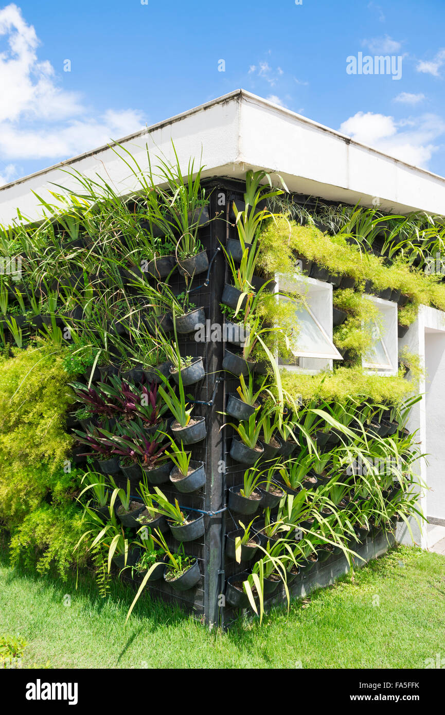 Eco-friendly green architecture features plants growing on the walls under a bright blue sunny sky Stock Photo