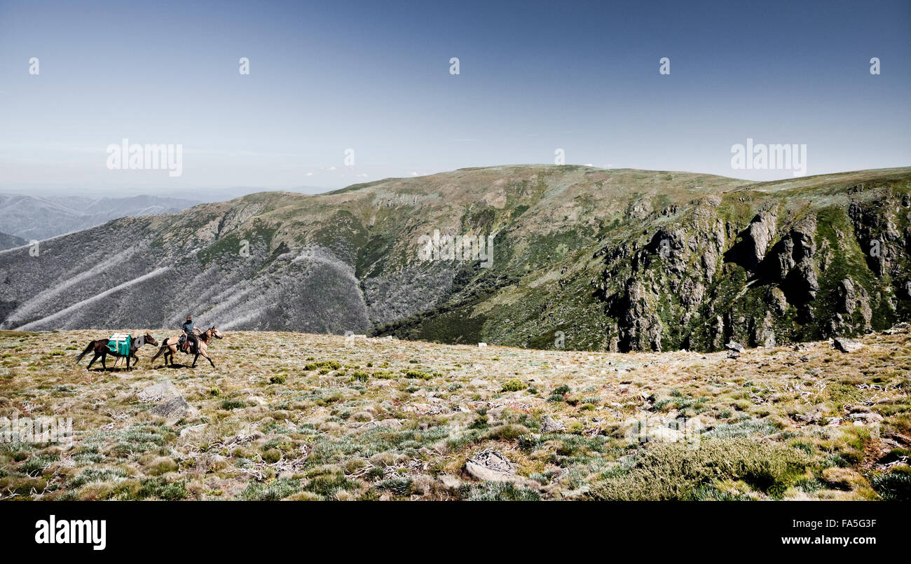 Australian Stockman, Lin Baird, approaches Hell Gap near Mount Bogong in the Victorian High Country. Stock Photo