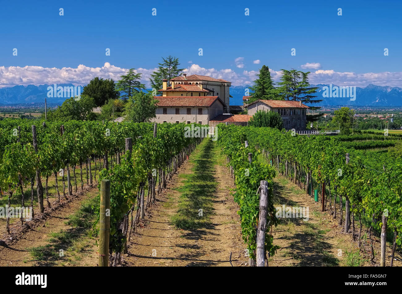 Friaul Weingut - Friaul vineyard estate 01 Stock Photo