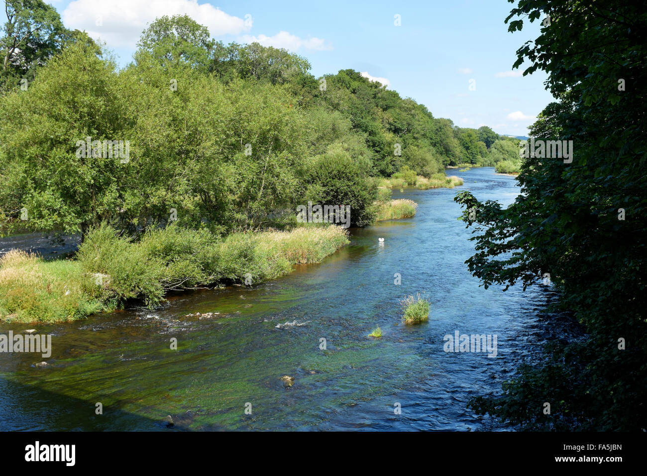 The river Wye near Hay on Wye, Powys, Wales. Stock Photo