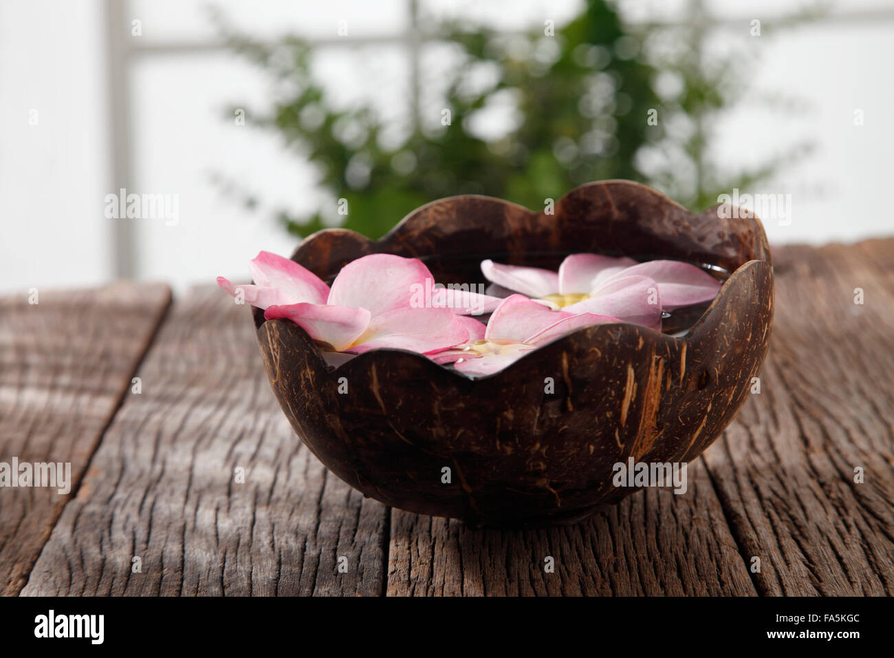 Coconut flower blooming hi-res stock photography and images - Alamy