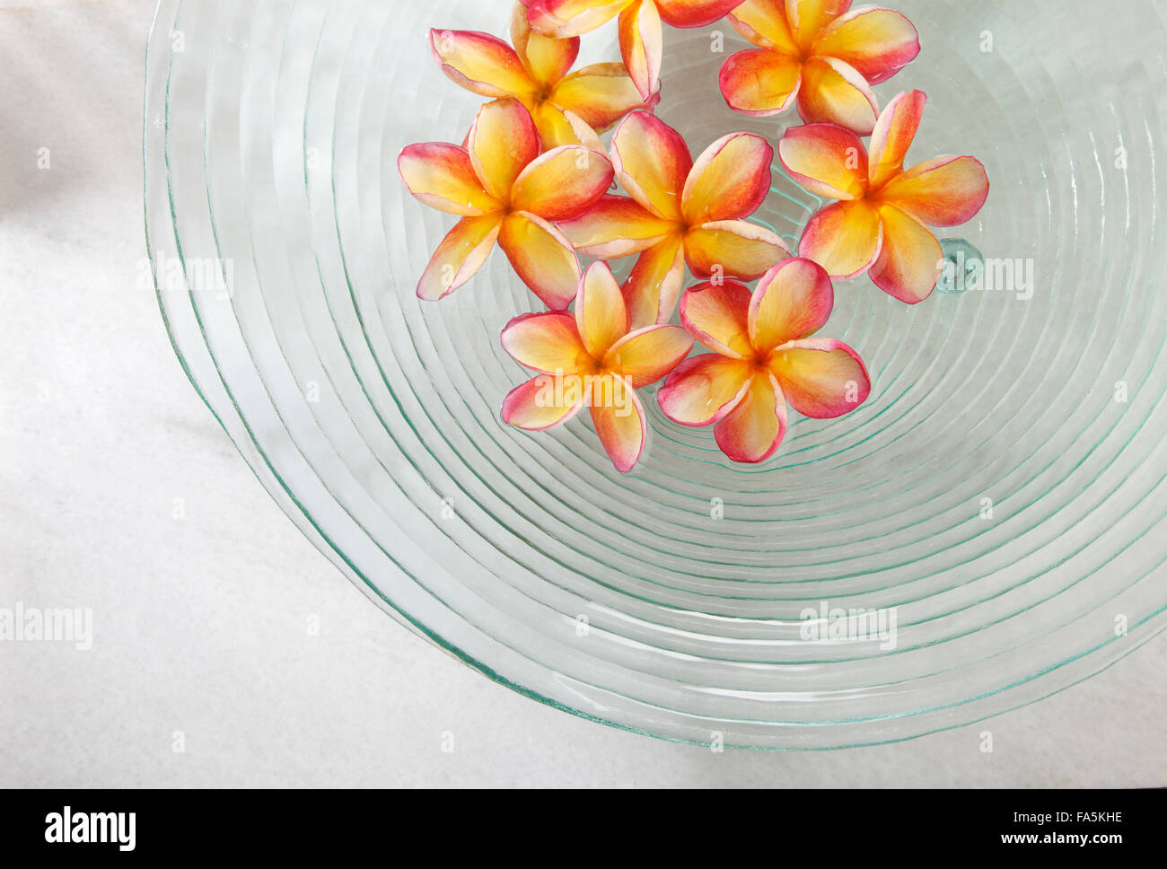 frangipani flowers in the glass bowl Stock Photo Alamy