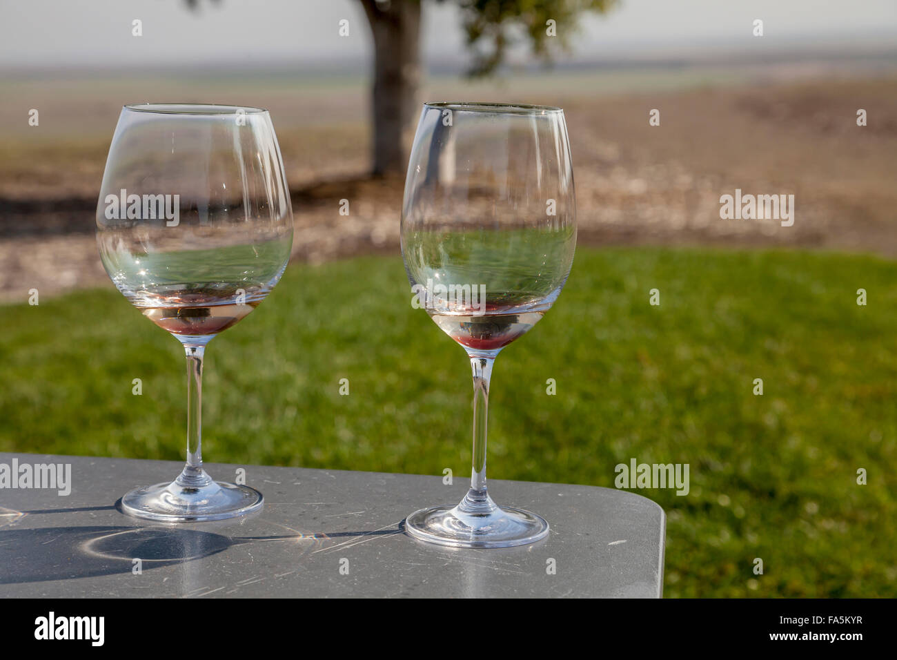 Wineglasses in the picnic area at Ram's Gate Winery, Sonoma, California, USA Stock Photo