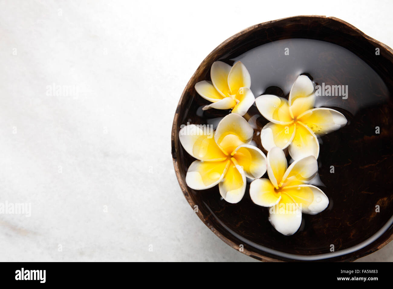 Coconut flower blooming hi-res stock photography and images - Alamy