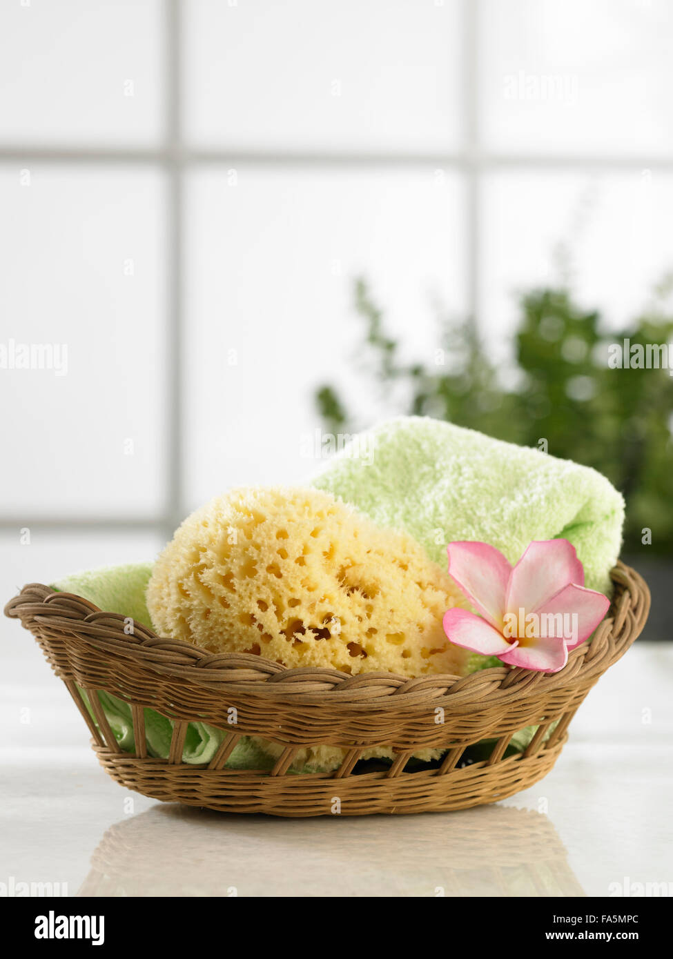 sponge in the rattan basket with flower Stock Photo Alamy