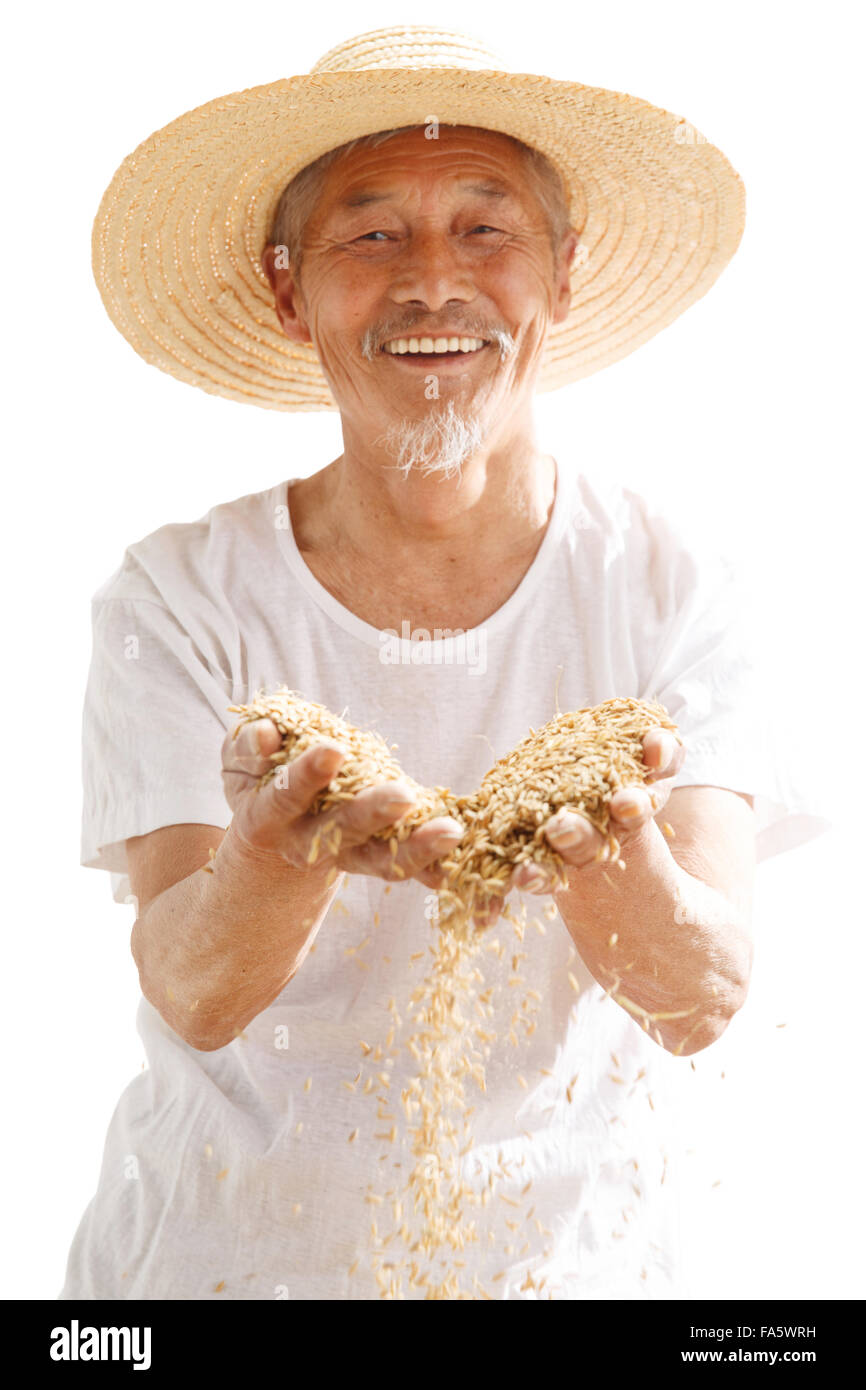Old farmers holding the rice Stock Photo - Alamy
