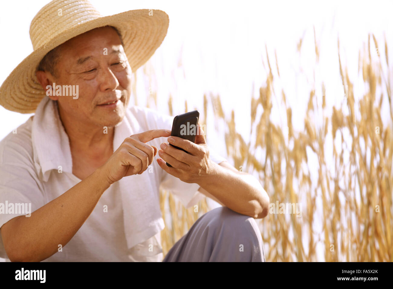 Farmers use mobile phones Stock Photo