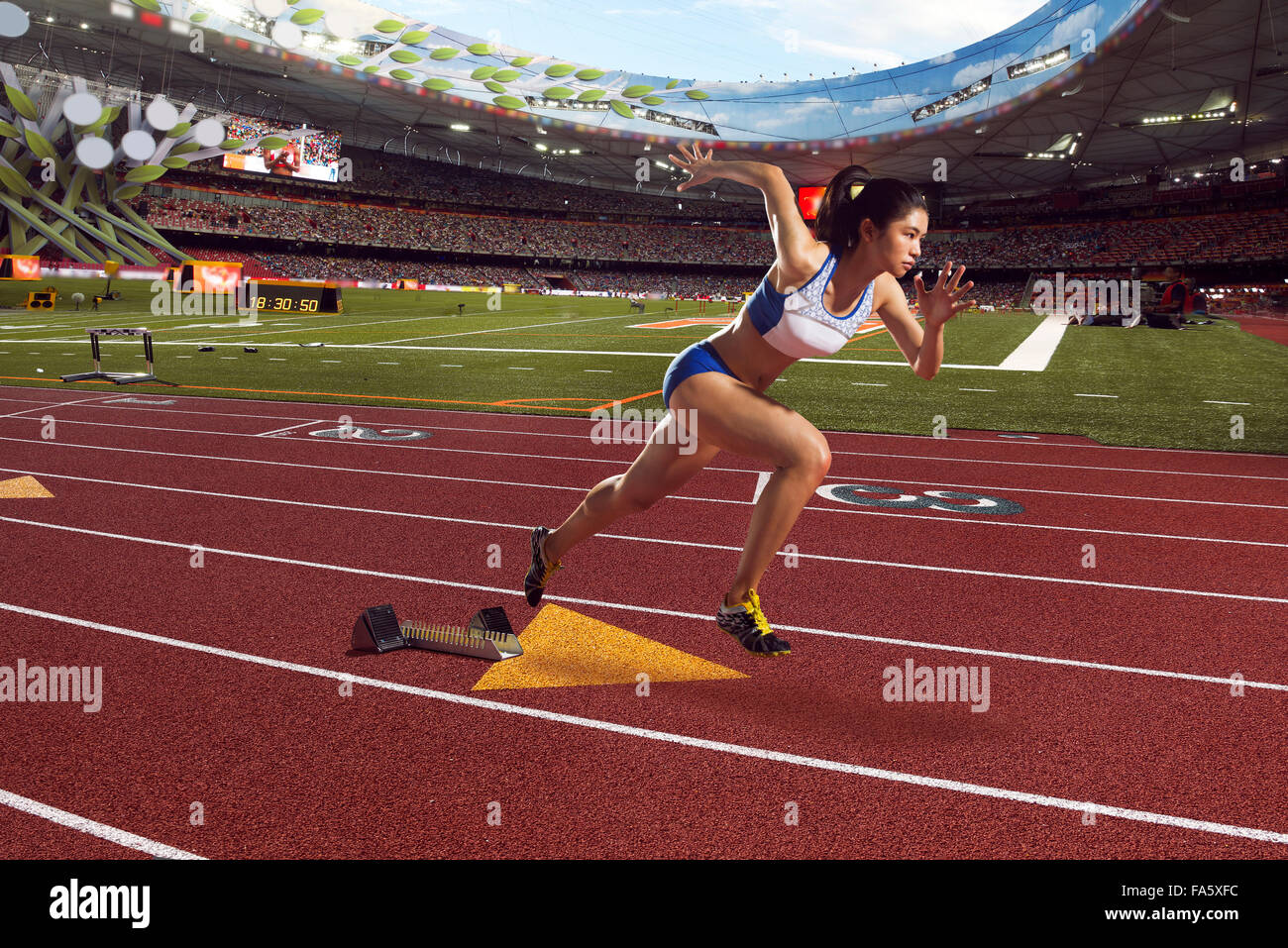 Track and field athletes in the field Stock Photo Alamy