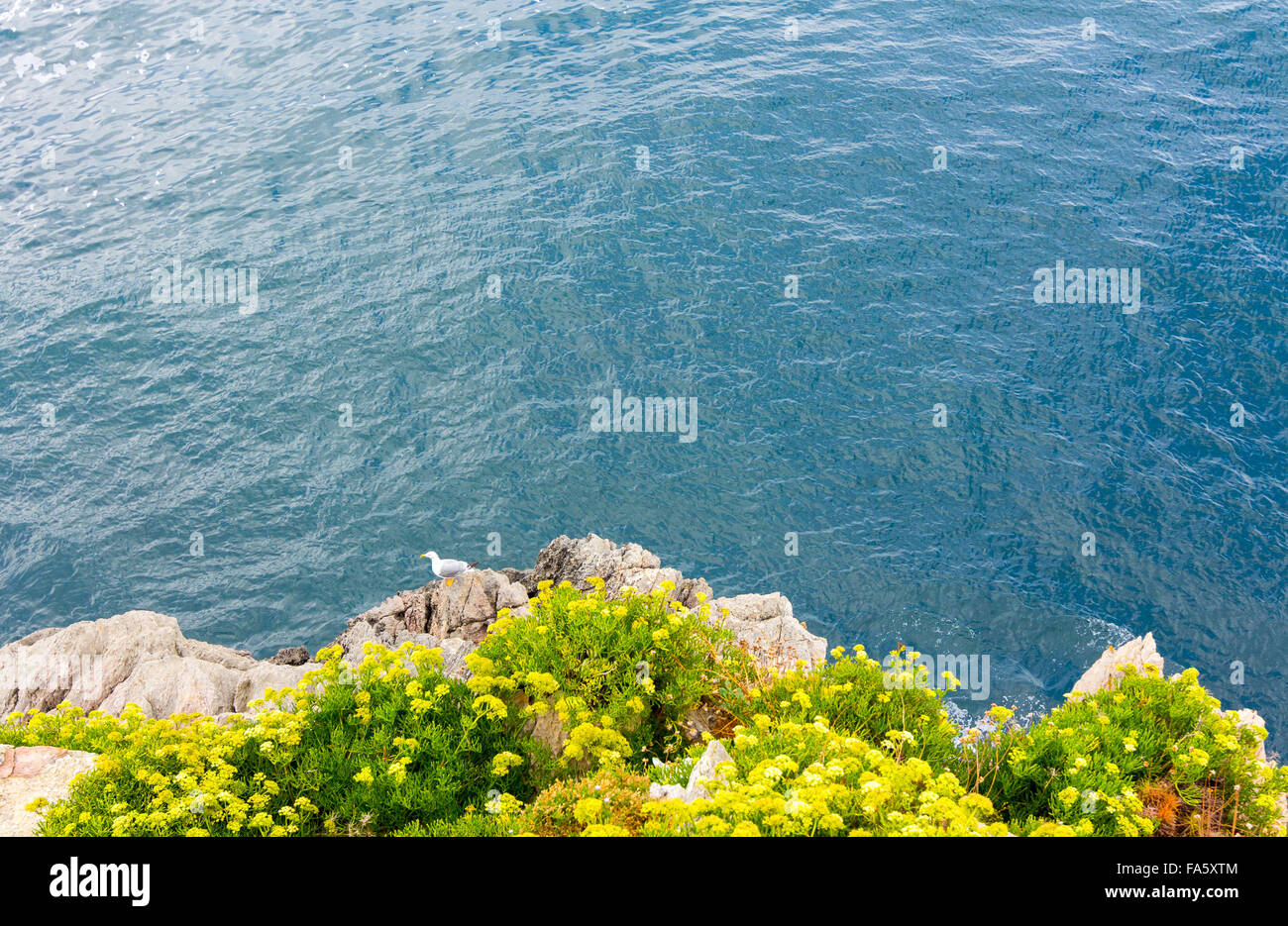 Blue Rocks along the Cantabrian Sea Stock Photo