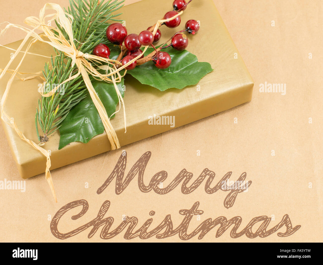 Merry Christmas card with mistletoe and present box Stock Photo