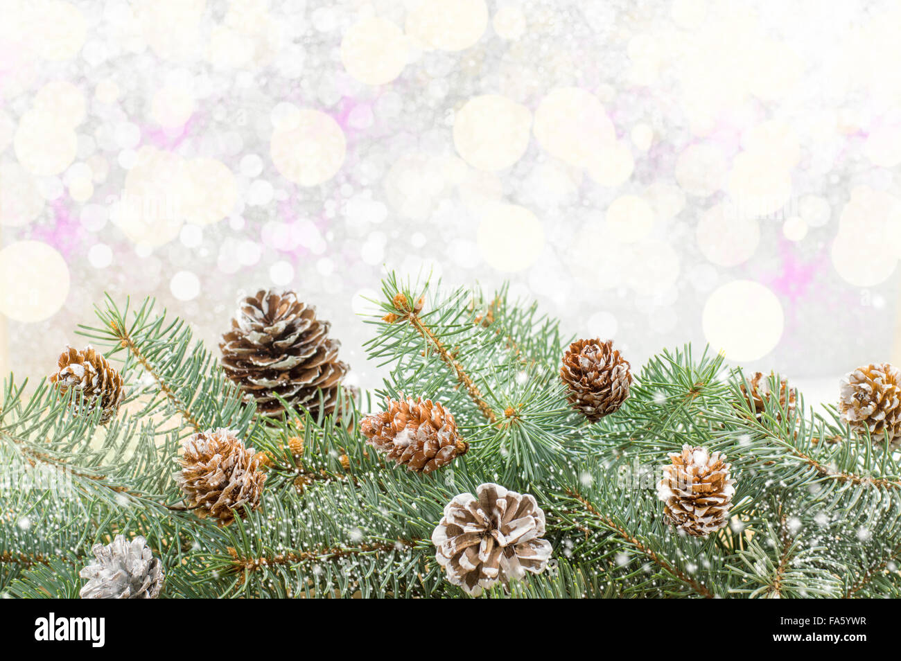 Festive Christmas background with ornaments and fir tree branch Stock ...