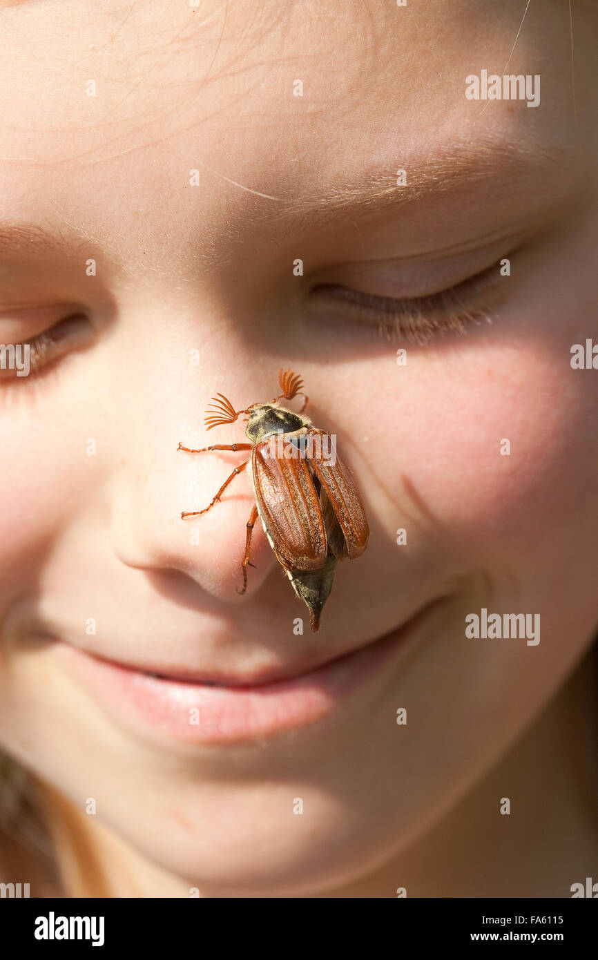 Maybeetle, common cockchafer, maybug, girl, child, Maikäfer, Feld-Maikäfer, Feldmaikäfer, Melolontha melolontha, Mädchen, Kind Stock Photo