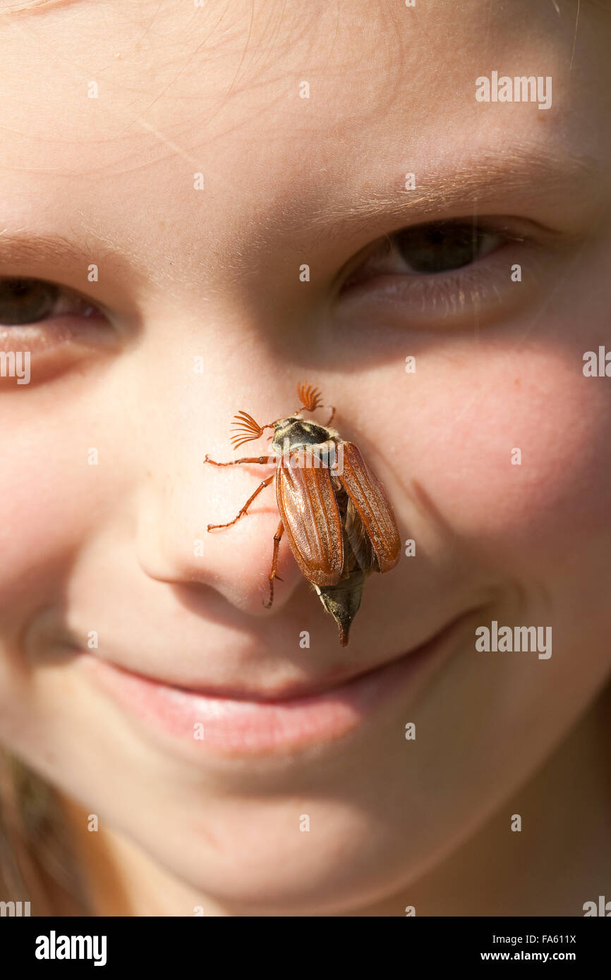 Maybeetle, common cockchafer, maybug, girl, child, Maikäfer, Feld-Maikäfer, Feldmaikäfer, Melolontha melolontha, Mädchen, Kind Stock Photo