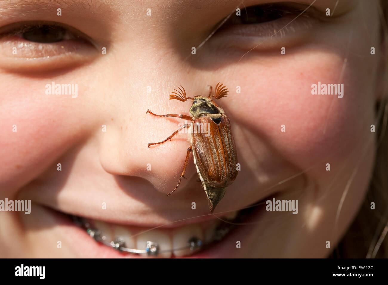 Maybeetle, common cockchafer, maybug, girl, child, Maikäfer, Feld-Maikäfer, Feldmaikäfer, Melolontha melolontha, Mädchen, Kind Stock Photo
