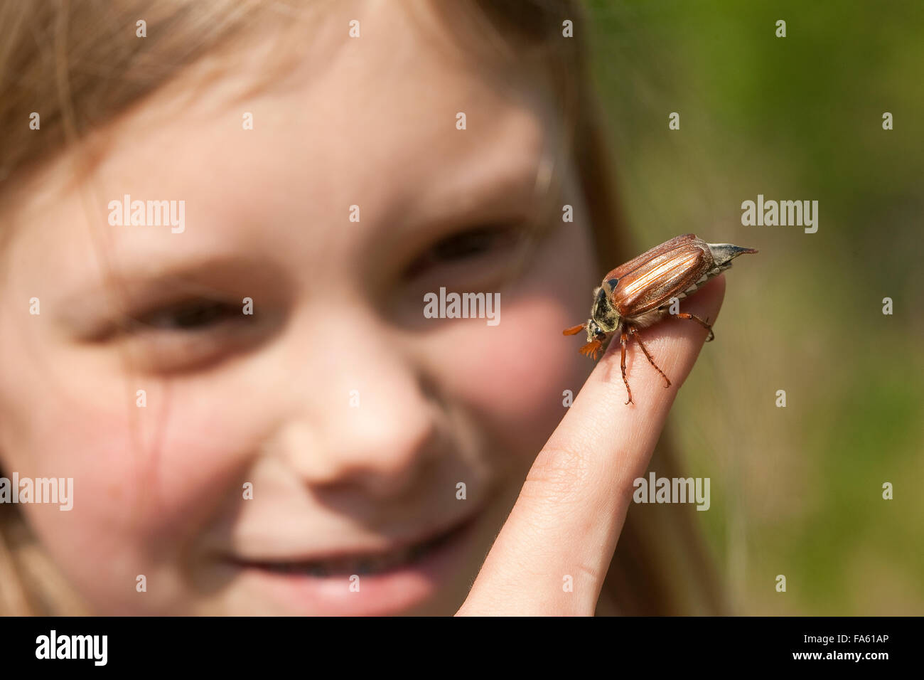 Maybeetle, common cockchafer, maybug, girl, child, Maikäfer, Feld-Maikäfer, Feldmaikäfer, Melolontha melolontha, Mädchen, Kind Stock Photo