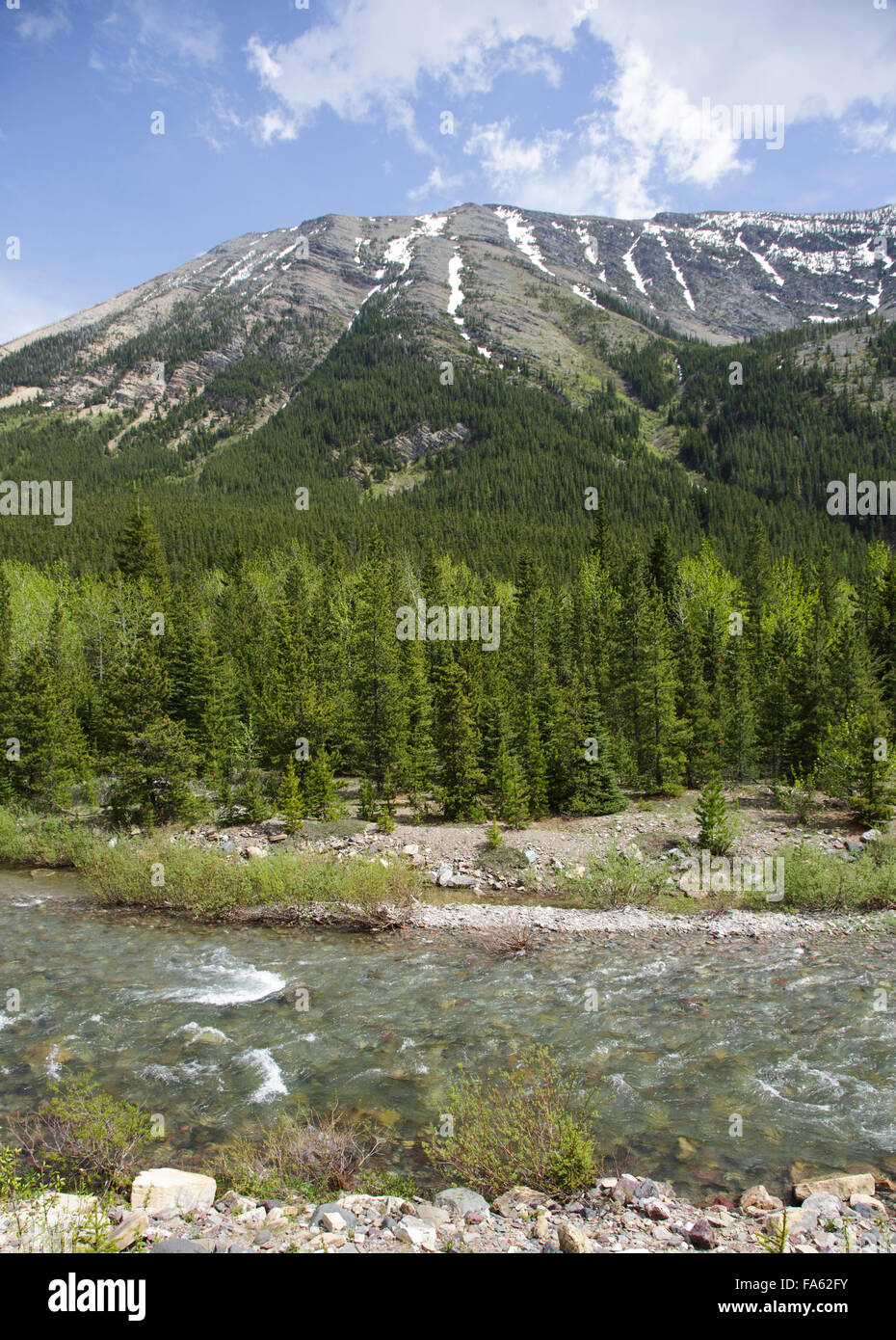 Spray Lakes Provincial Park, Alberta, Canadian Rocky Mountains, Stock Photo
