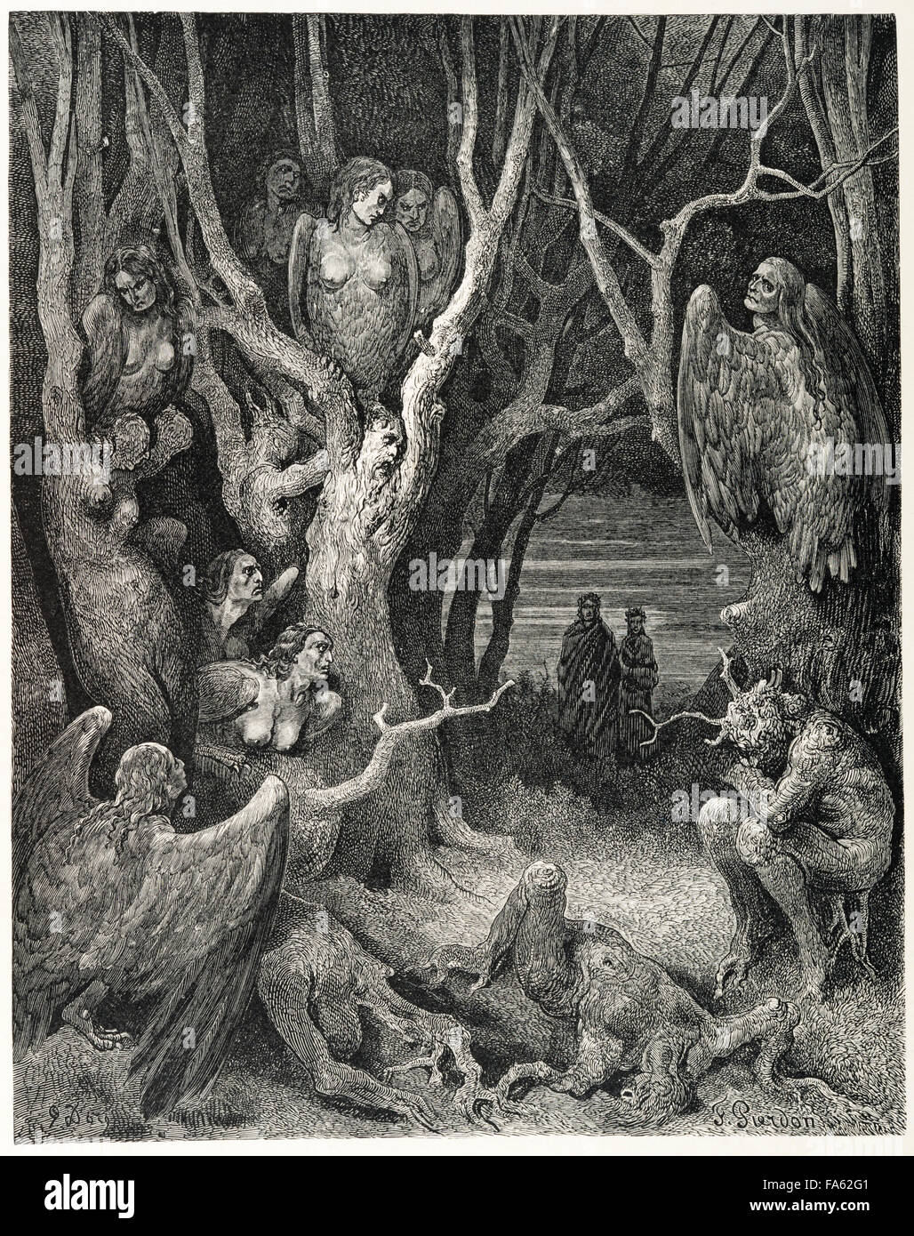 l'Inferno (The Vision of Hell) by the 13c Italian poet Dante Alighieri, illustrated by the 19c French artist Gustave Doré. The Seventh Circle of Hell, where the violent are punished. Here suicides are punished, being transformed into trees and then fed upon by Harpies. {Canto XIII, line 11) Stock Photo