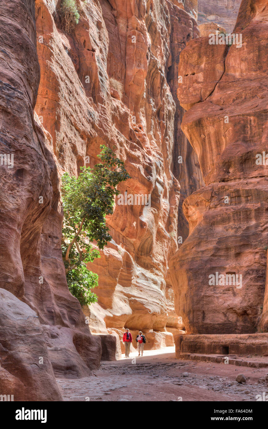 Tourists Walking thru the Sig, Petra, Jordan Stock Photo
