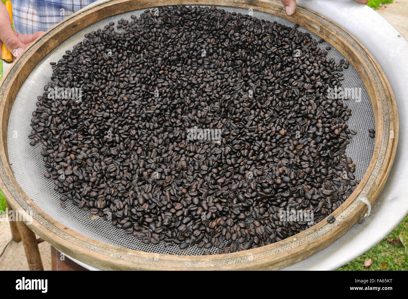 Coffee roasted sieve in the countryside Stock Photo