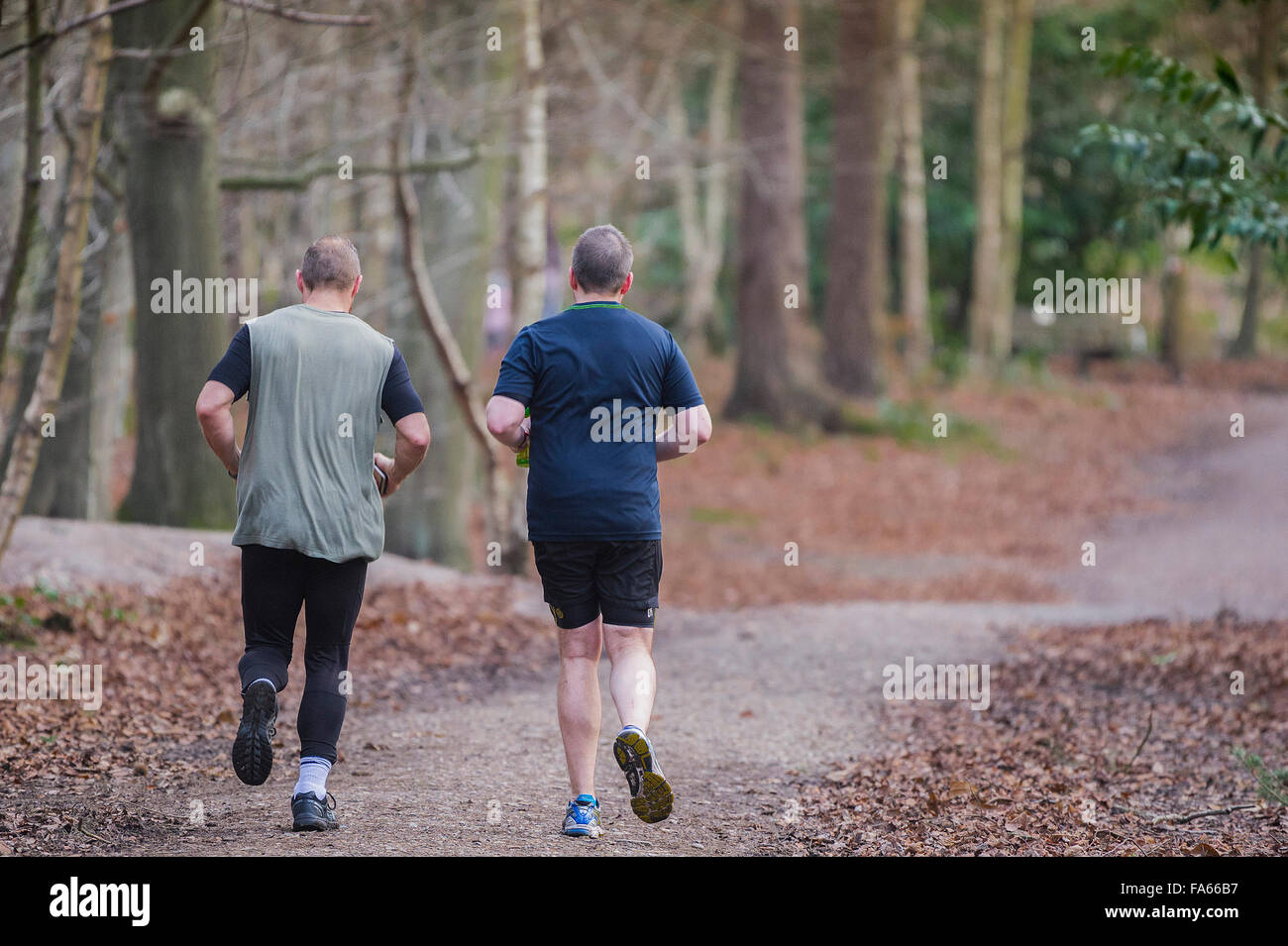 Mature runners exercising in Thorndon Park woodland in Essex, England, United Kingdom. Stock Photo