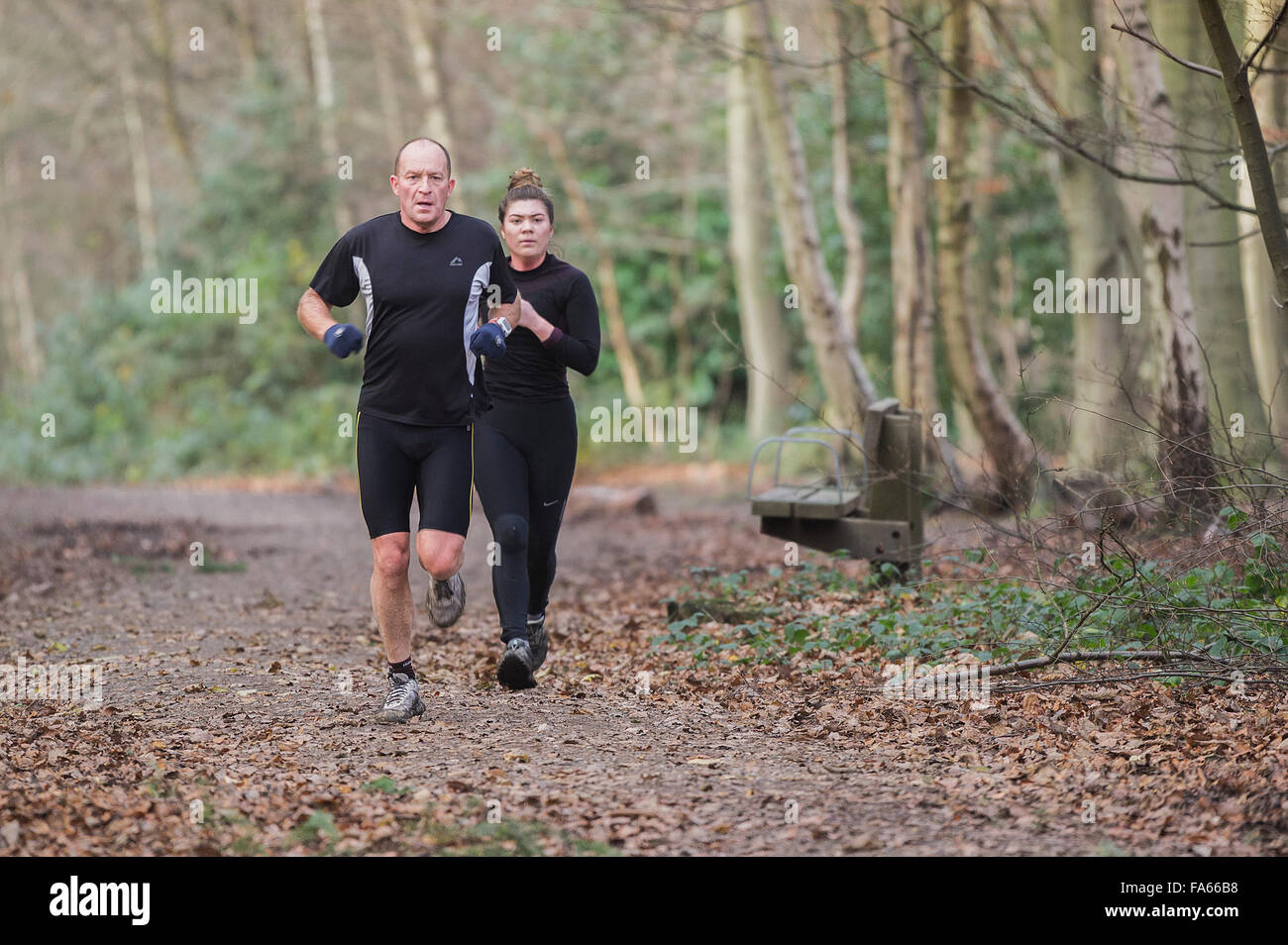 Runners exercise in Thorndon Park woodland in Essex, England, United Kingdom. Stock Photo