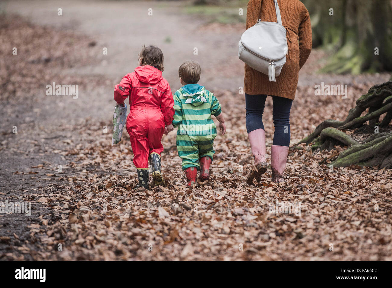 A family enjoy a walk through Thorndon Park woodland in Essex, England, United Kingdom. Stock Photo