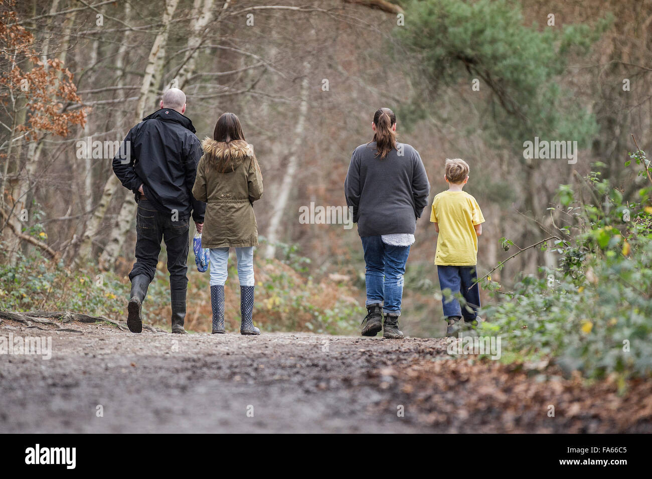 A family enjoy a walk together in Thorndon Park woodland in Essex, England, United Kingdom. Stock Photo