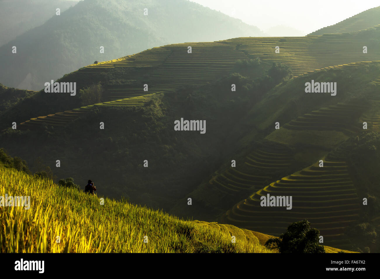Man taking a photograph in Rice terraces in the mountain, Yenbai, Vietnam Stock Photo