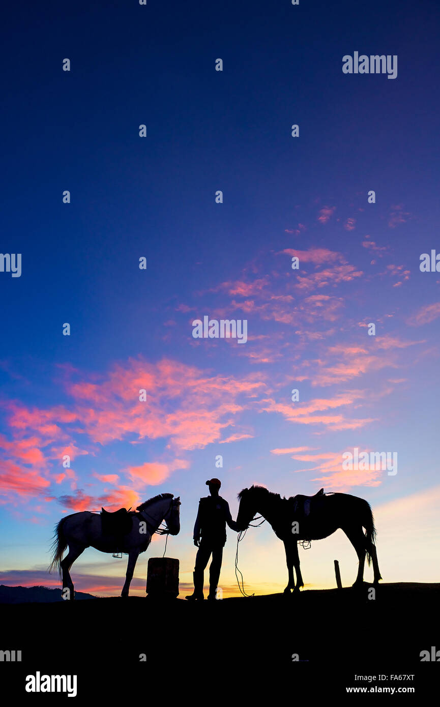Silhouette of a man with two horses, Mount Bromo, East Java, Indonesia Stock Photo