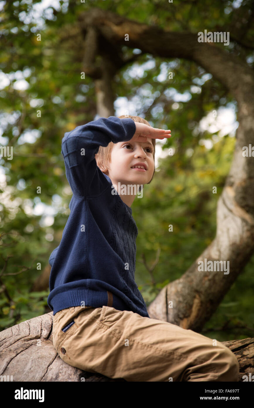 boy sitting in a tree shielding his eyes Stock Photo