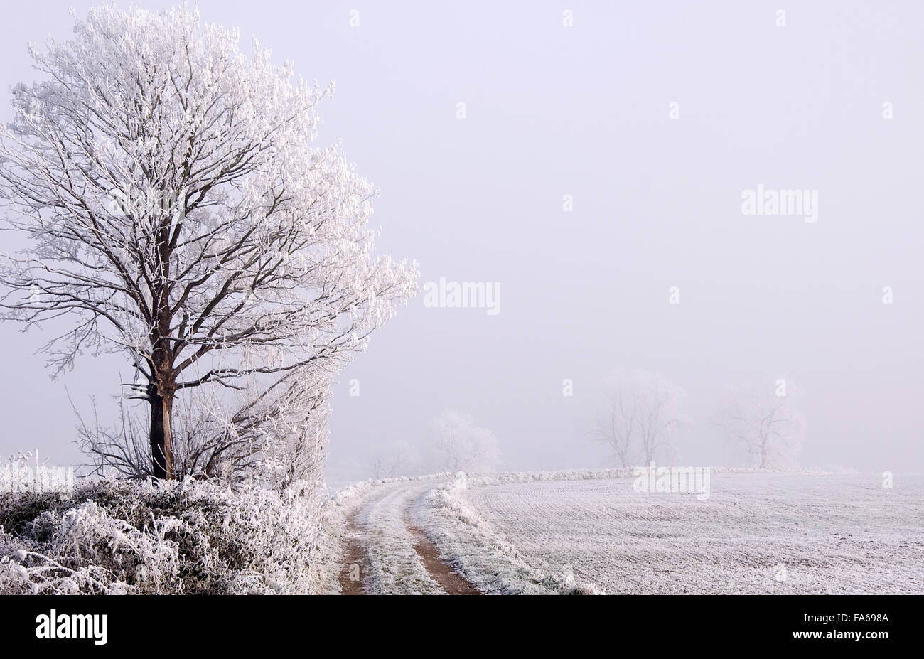 Snow covered landscape Stock Photo