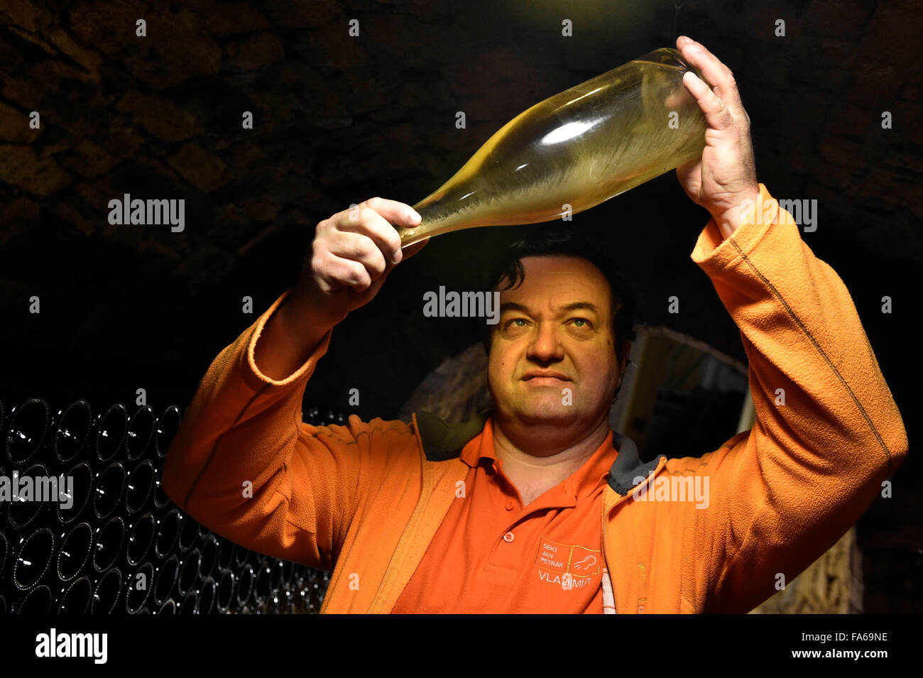 Vladimir Hribal (pictured) and his wife are the second generation of producers of the sparkling wine made from mostly ecologically grown hand-picked grapes. Family vinery Jan Petrak to create the most special sparkling wine, which is made using the classic Methode Champenoise - secondary fermentation in the bottle. Delicate and lasting sparkling is carried by flakes of 24 carat gold in Kobyli, Czech Republic, December 18, 2015. (CTK Photo/Vaclav Salek) Stock Photo