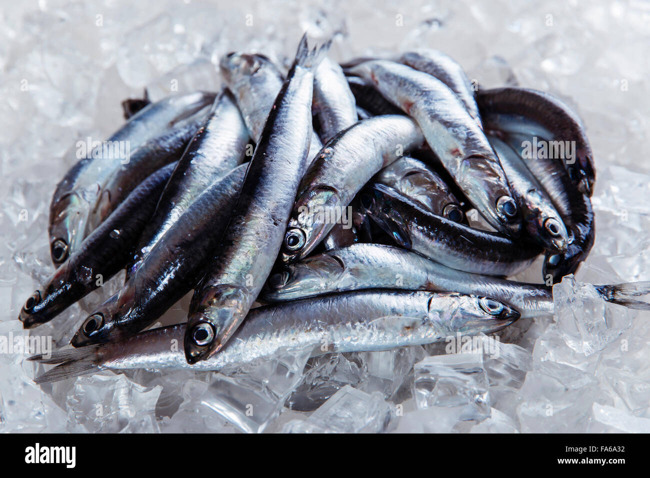 fresh raw fish anchovy on ice seafood Stock Photo