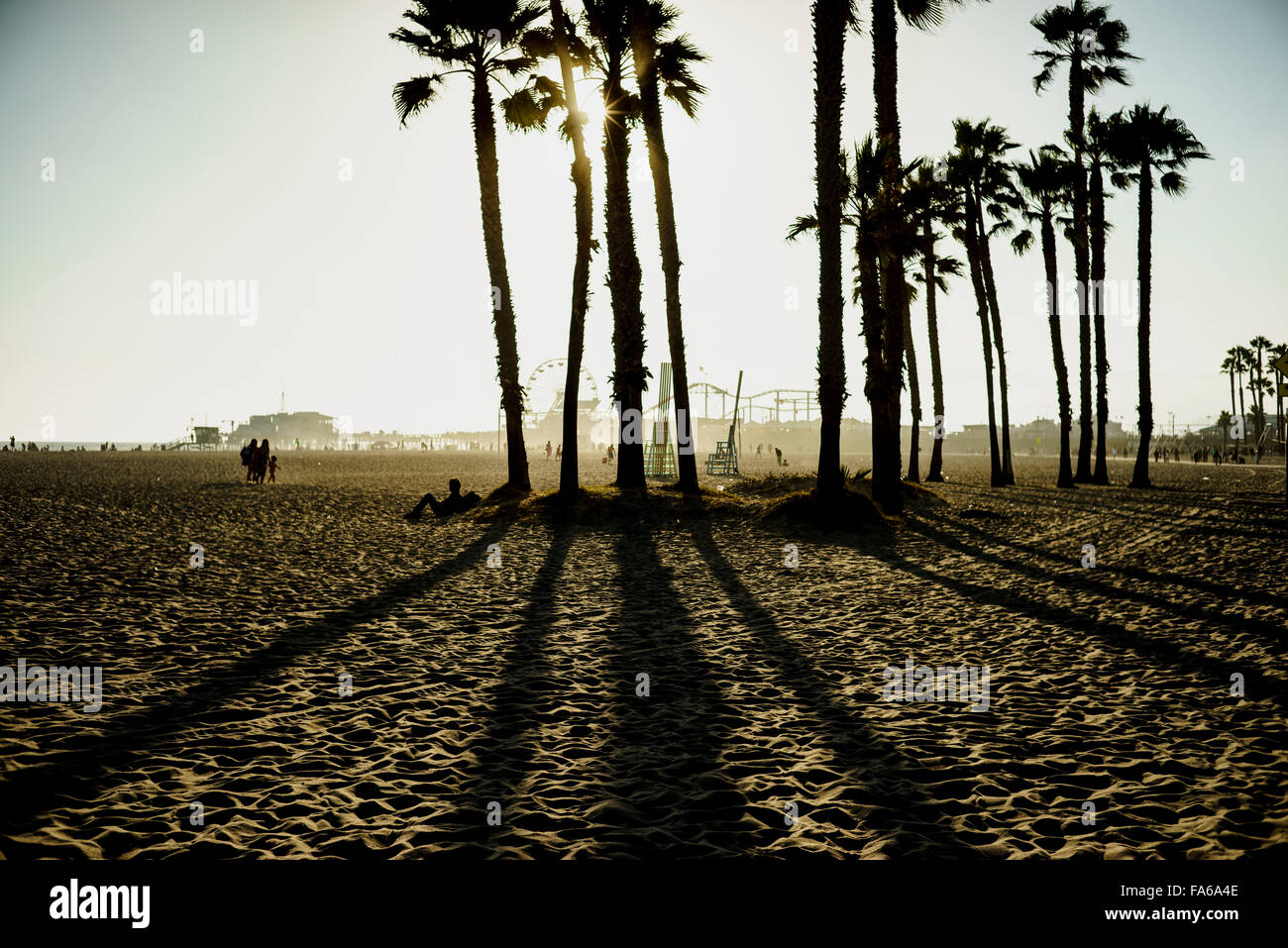 Venice Beach with Santa Monica Pier in the background Stock Photo