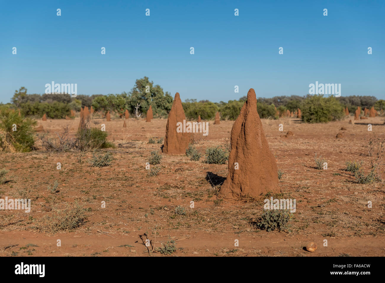 termites cathedral mounds  in the Australian Outback Stock Photo