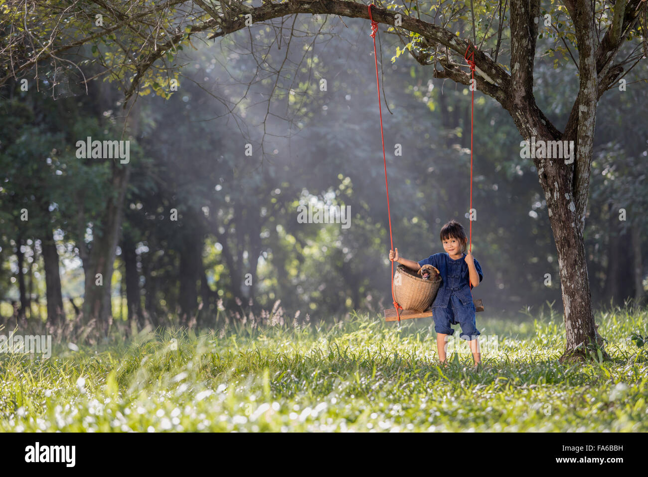 Girl sitting on swing with her dog Stock Photo