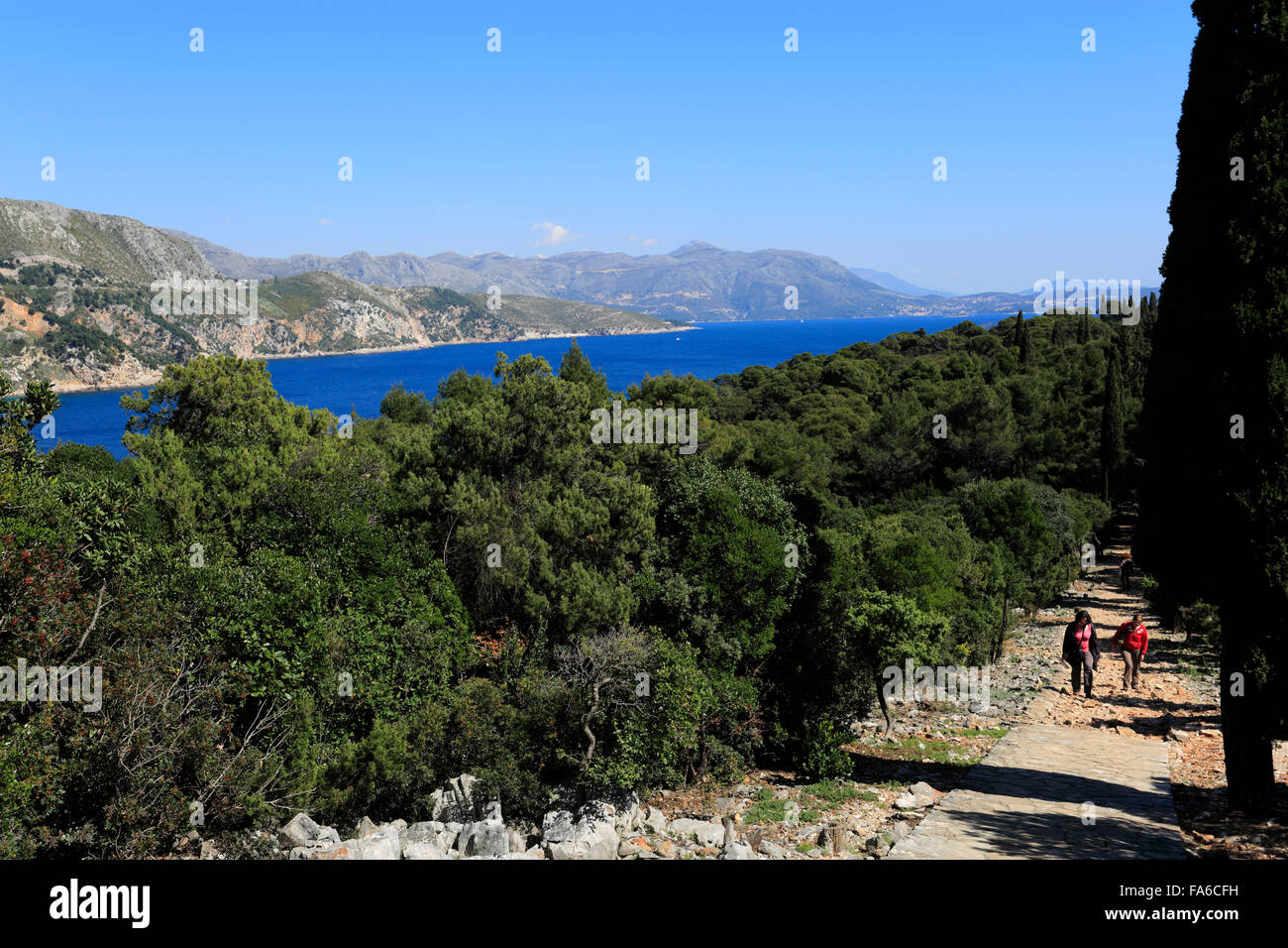 Summer view of Lokrum Island, Dubrovnik, Dubrovnik-Neretva County, Dalmatian coast, Adriatic Sea, Croatia, Balkans, Europe, Stock Photo