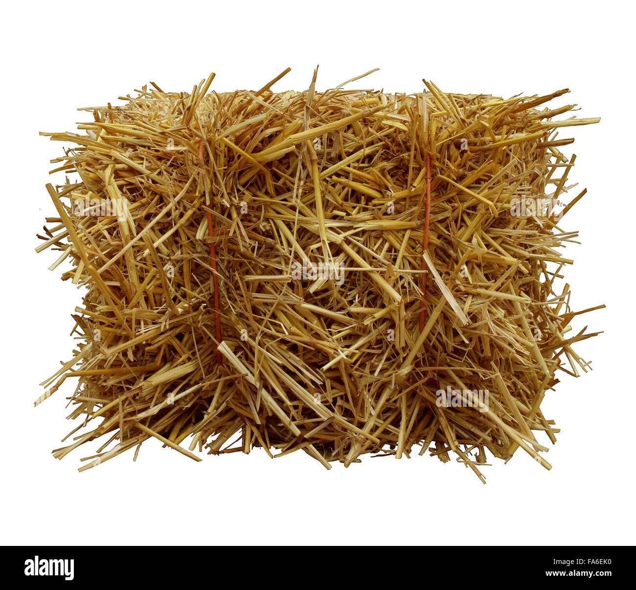 Bale of hay front view isolated on a white background as an agriculture farm and farming symbol of harvest time with dried grass straw as a bundled tied haystack. Stock Photo