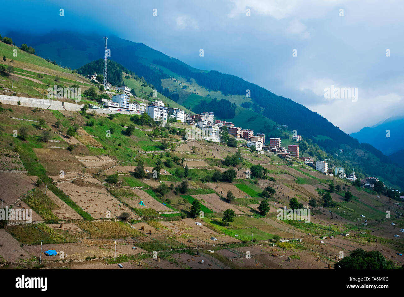 Türkei, östliche Schwarzmeeküste, Provinz Trabzon, Dorf Karacam an der D915 im Pontischen Gebirge Stock Photo