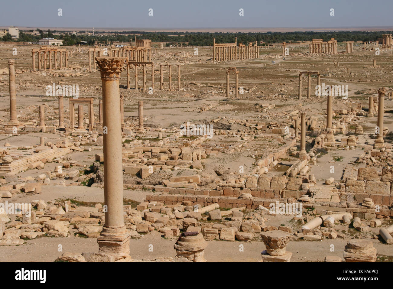overview of Palmyra Stock Photo - Alamy