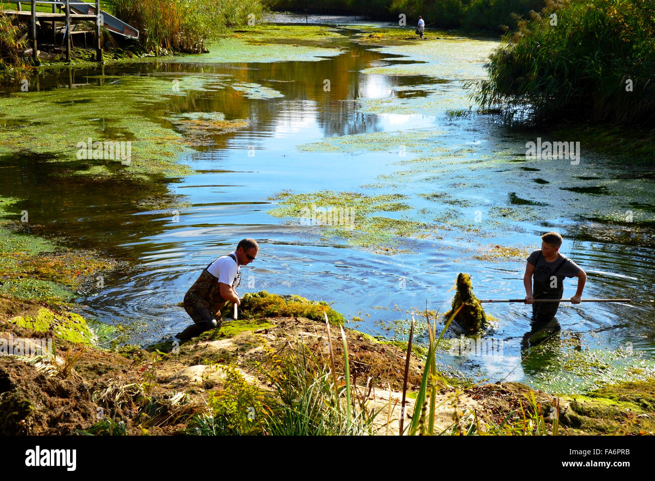 People cleaning water lake Stock Photo Alamy