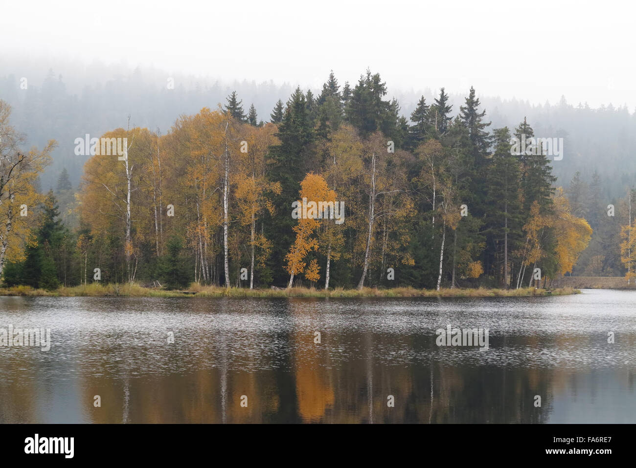 Kladska peats -Glatzener Moor Stock Photo - Alamy