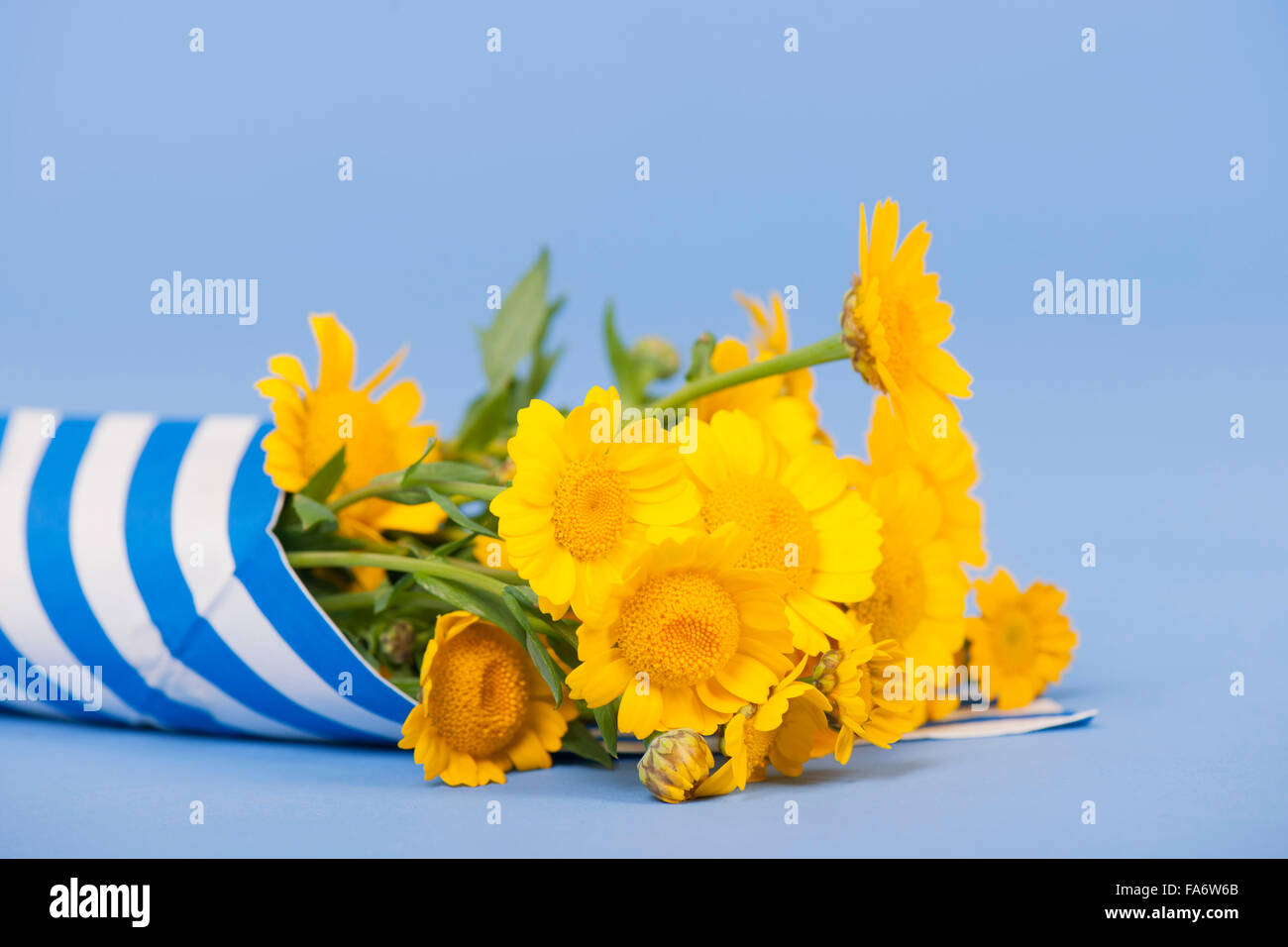 345 Paper Flower Bouquet Stock Photos, High-Res Pictures, and Images -  Getty Images