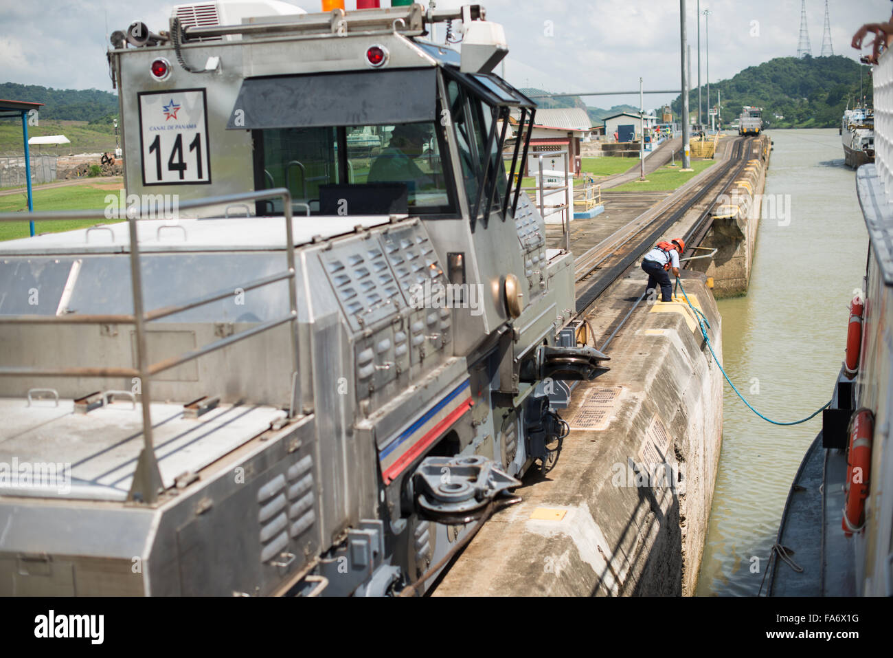 Mule go hi-res stock photography and images - Alamy