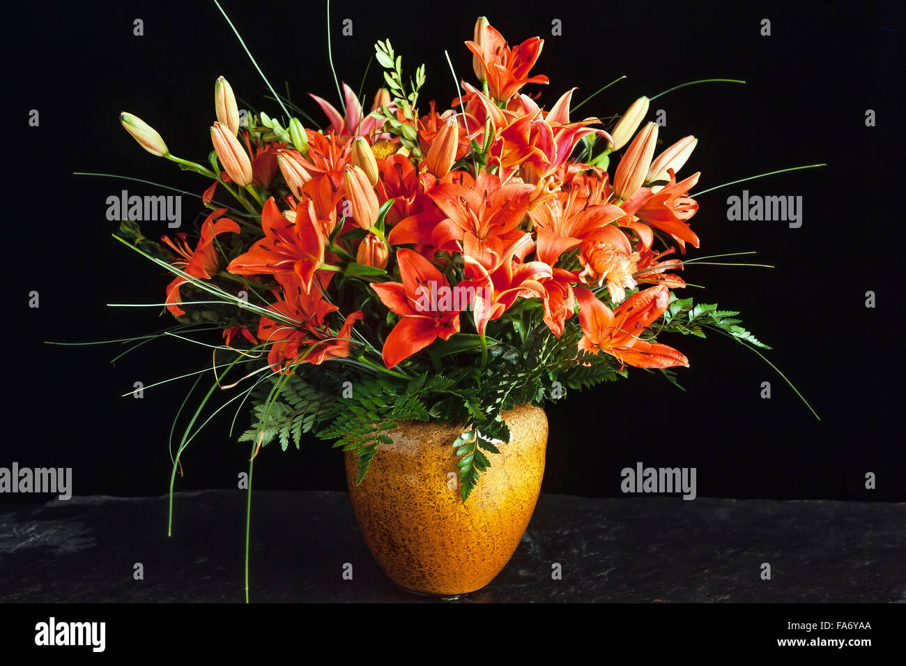 Benguet lilies (Lilium philippinense) in vase, bouquet of flowers, black background Stock Photo